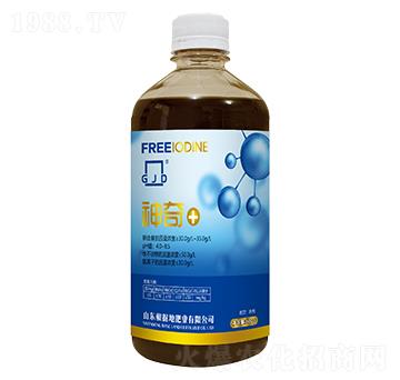 ����+����V�V�����Ƅ�-����(j��)�طʘI(y��)