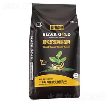 �w���VԴ�S�����-�����طʘI(y��)