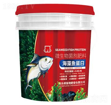 �����~����-����(j��)�طʘI(y��)