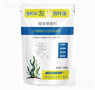 微生物菌劑-墨崗40灰泡葉藻-杜斯農