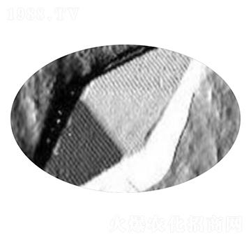 微生物Bt工程菌株-G033A-聚立信生物