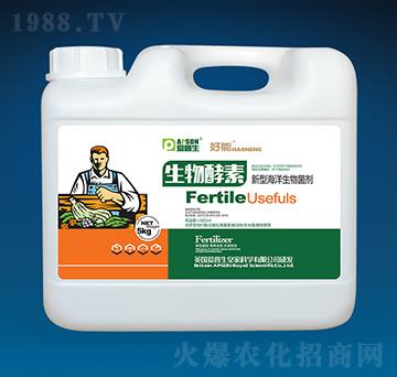 ����������ͺ����������-����-������