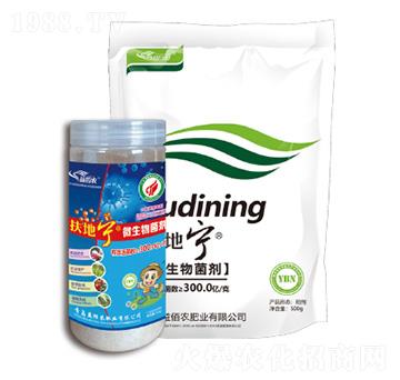 ΢������N-���،�-����r(n��ng)�ʘI(y��)