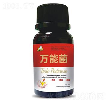 �f-�ܾ�-��˹��