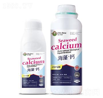 ���塤�}-�۶�����