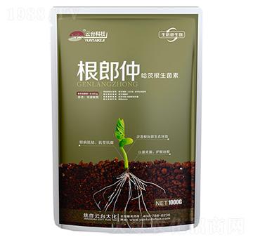 哈茨根生菌素-根郎仲-云臺(tái)大化