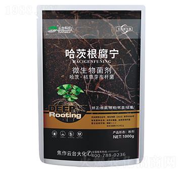 哈茨根腐寧-云臺(tái)大化