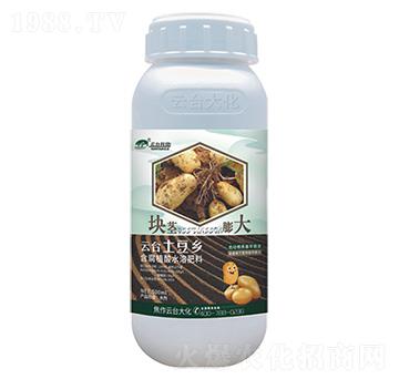 塊莖膨大含腐植酸水溶肥料-云臺(tái)土豆鄉(xiāng)-云臺(tái)大化