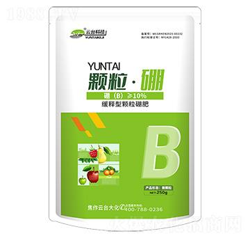 顆?！づ?云臺(tái)大化