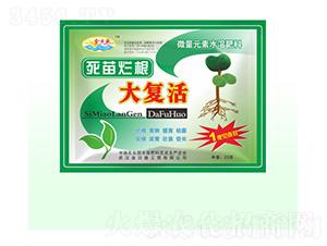 死苗爛根大復活-金日盛-富源祥肥業(yè)