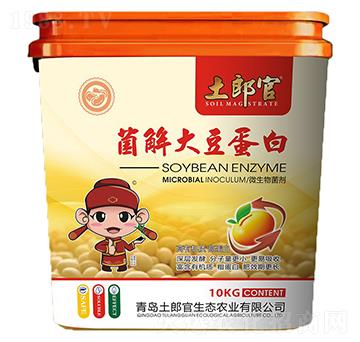 ����󶹵���-���ɹ�