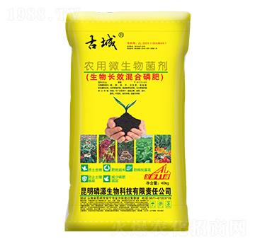 農(nóng)用微生物菌劑-古城-和莊肥業(yè)