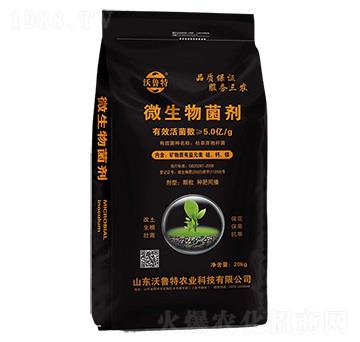 ΢�������-������