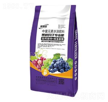 �������ӌ�������Ԫ��ˮ�ܷ���-��?sh��)°? width=