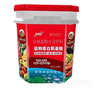 ���ﵰ�װ�����-��?sh��)°? width=