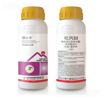 10%�����ёҸ���-�\С��-�|�h(yu��n)����