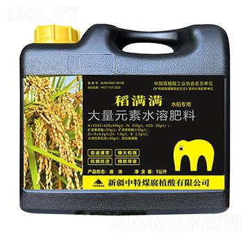 稻滿滿大量元素水溶肥料-中特煤