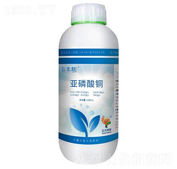 云豐靚亞磷酸銅-云大科技