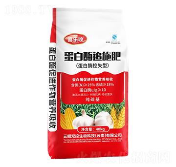 蛋白酶追施肥-紅太陽