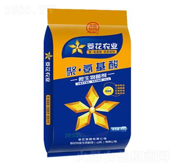 ΢�������-�۰�����-���⻨