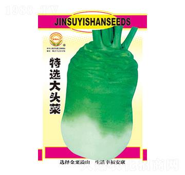 ���x���^��-̫���N�I(y��)