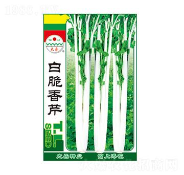 �״�����-̫���N�I(y��)