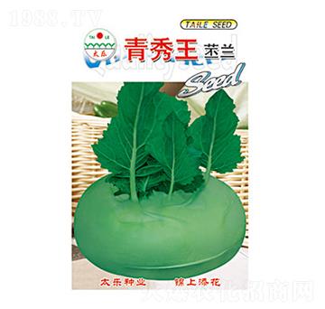 ���m�N��-���������m-̫���N�I(y��)