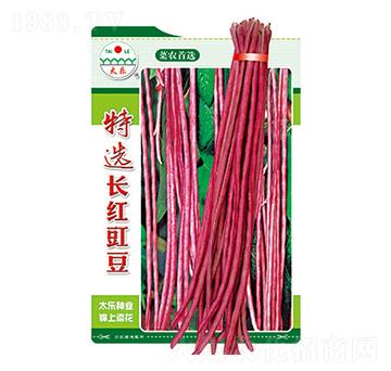 �����N��-���x�L(zh��ng)�t����-̫���N�I(y��)