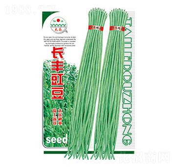 �����N��-�L(zh��ng)�S����-̫���N�I(y��)