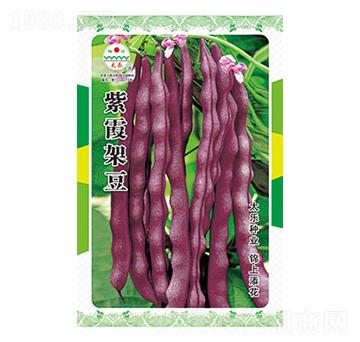 �����N��-��ϼ�ܶ�-̫���N�I(y��)