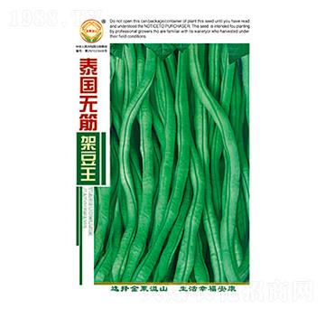 �����N��-̩��(gu��)�o(w��)��ܶ���-̫���N�I(y��)