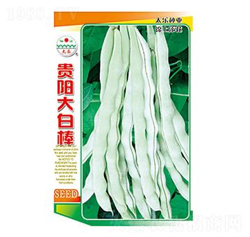 �����N��-�F�(y��ng)��װ�-̫���N�I(y��)