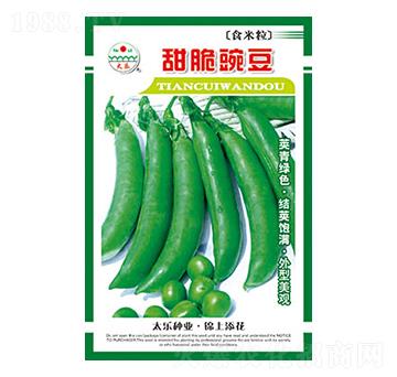 �㶹�N��-����㶹-̫���N�I(y��)