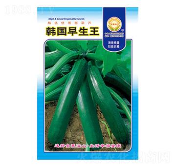 �����J�N��-�n��(gu��)������-̫���N�I(y��)