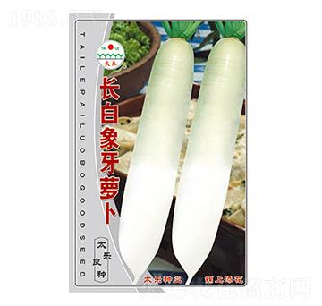 �}���N��-�L(zh��ng)�������}��-̫���N�I(y��)