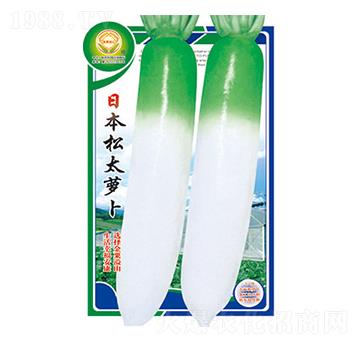 �}���N��-�ձ���̫�}��-̫���N�I(y��)