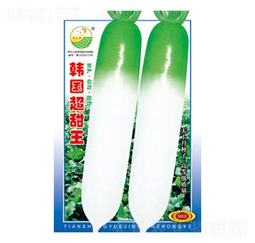 �}���N��-�n��(gu��)������-̫���N�I(y��)