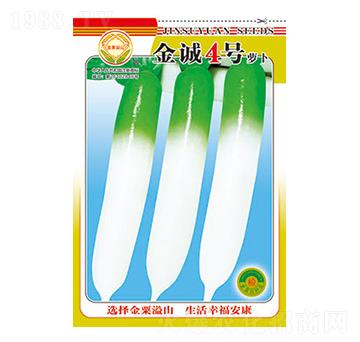 �}���N��-���\(ch��ng)4̖(h��o)-̫���N�I(y��)