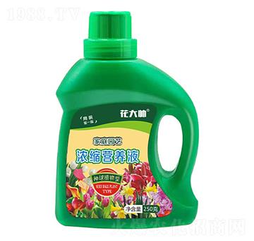 種球植物型家庭園藝濃縮營養(yǎng)液-花大帥-綠沃肥業(yè)