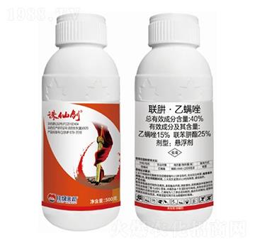 40%(li��n)�¡�������Ҹ���-�D�Ʉ�-�����