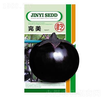 ���ӷN��-����-���S�r(n��ng)�I(y��)