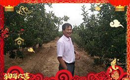 ����������ʘI(y��)��ȫ�w�T����ף���Ͽ͑�(h��)����옷(l��)�������³ɣ�