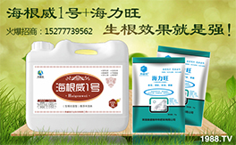 ��Ӣ���W�ʩ��ף���g�gϲϲӭ�i�����f������ƽ������