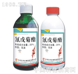 �f�S�r(n��ng)��-20%�������