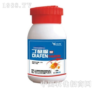 �Ͼ�һ��-������