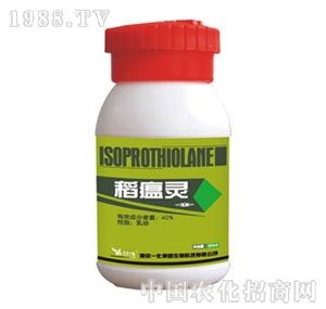 �Ͼ�һ��-�����`