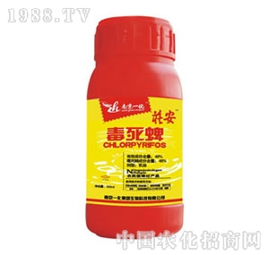 �Ͼ�һ��-������