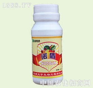 �̴T�S-�Z��