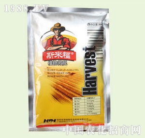 �̴T�S-˹��(l��i)��