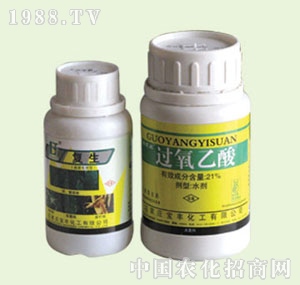 �̴T�S-�����پ���